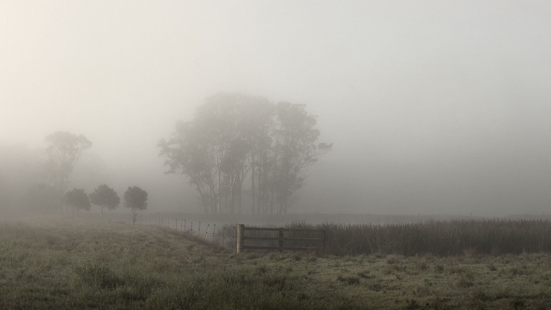 Jiliby, NSW Central Coast.