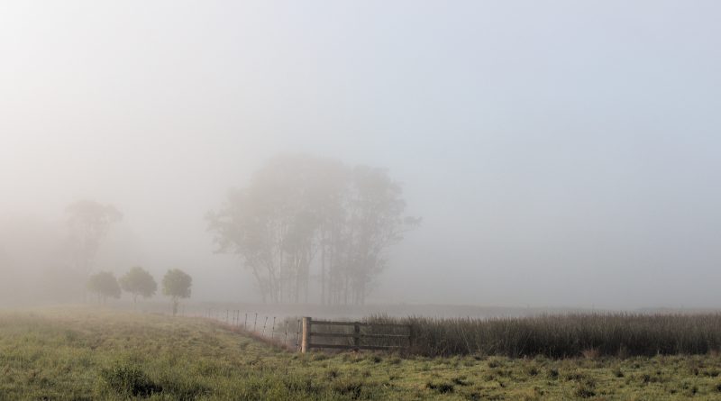 It's winter, and it's cold, so here's a random image from the neighbourhood.
