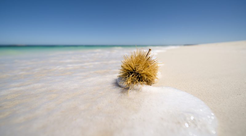 On da beach